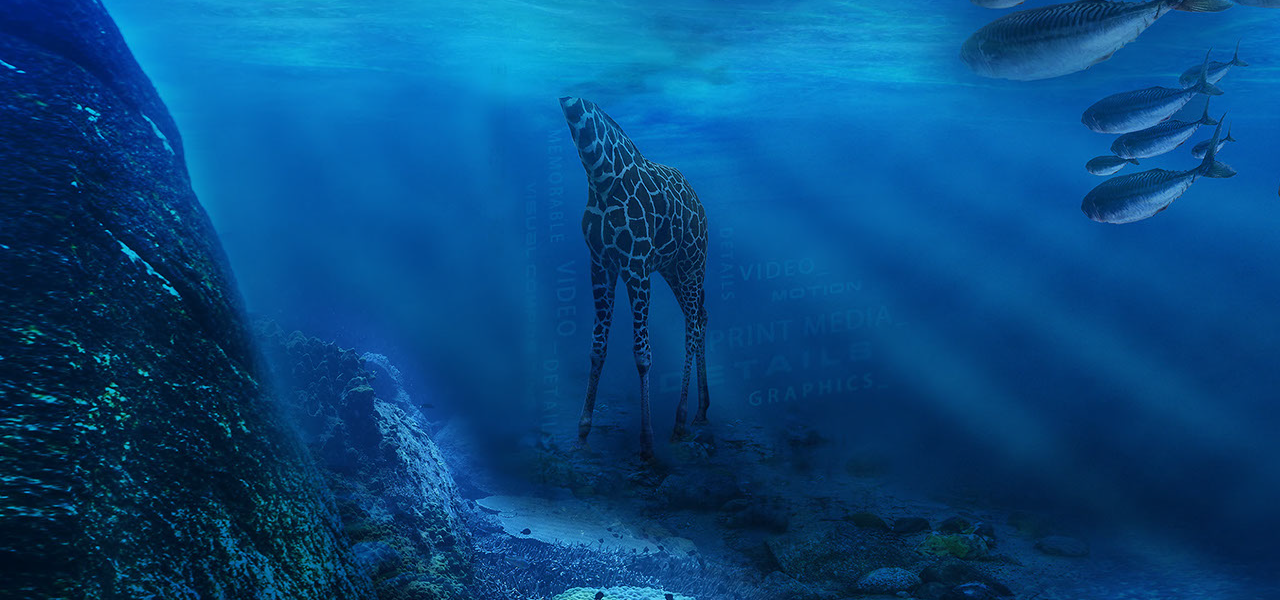 A Creative Flood | Jeff Olson Portfolio of Print & Motion Graphic Design Effects