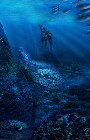 A Creative Flood | Jeff Olson Portfolio of Print & Motion Graphic Design Effects